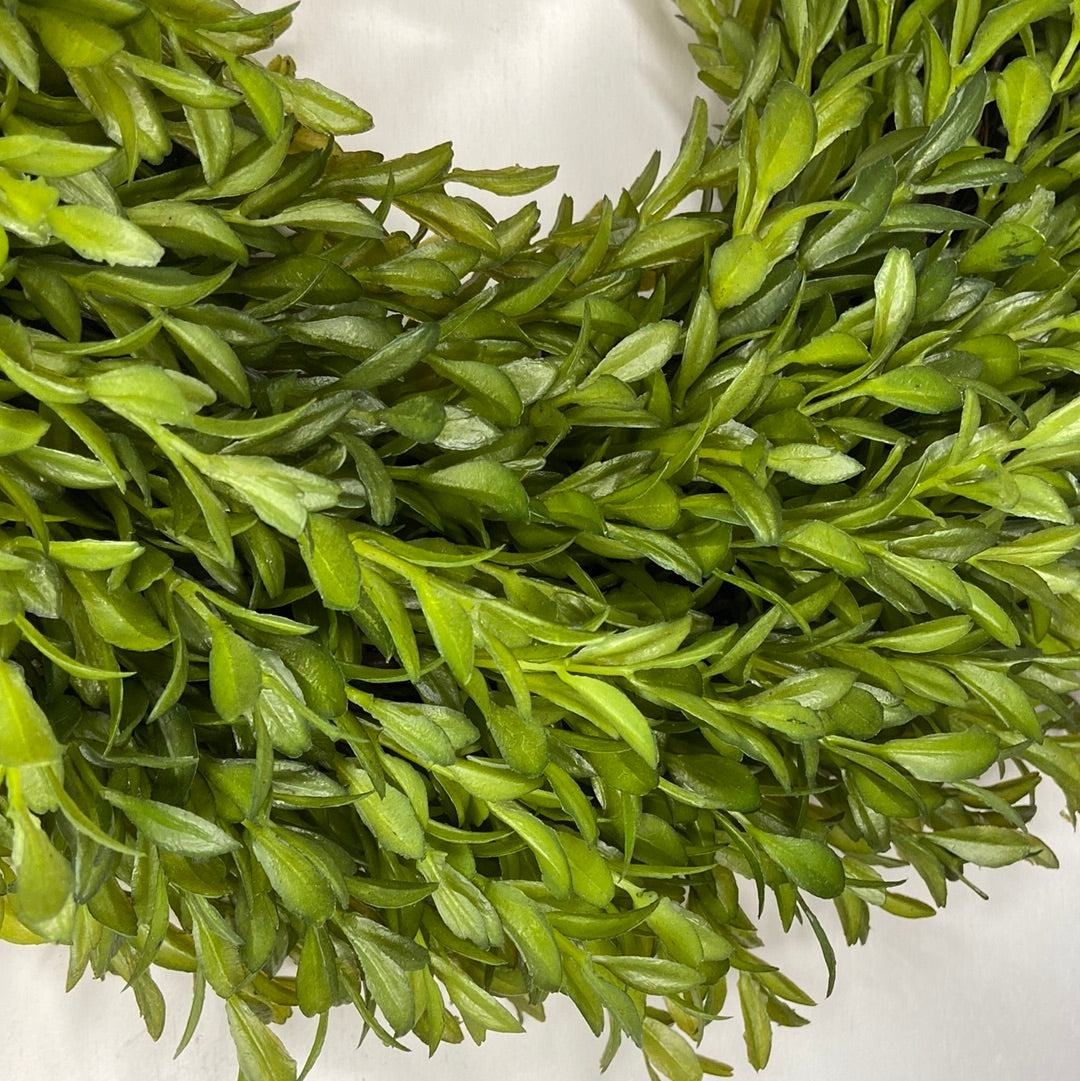 14” Boxwood Tea Leaf Wreath