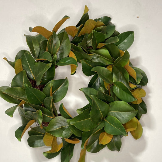 24” Magnolia Leaf Wreath
