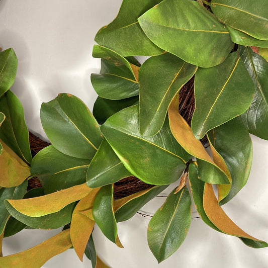 30” Magnolia Leaf Wreath